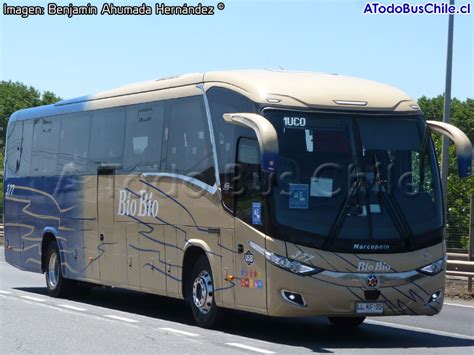 A Todo Bus Chile Desde 2009 La Biblioteca Busóloga de Chile