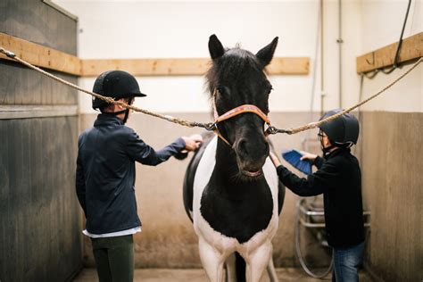 Trygghetsrådet Svenska Ridsportförbundet