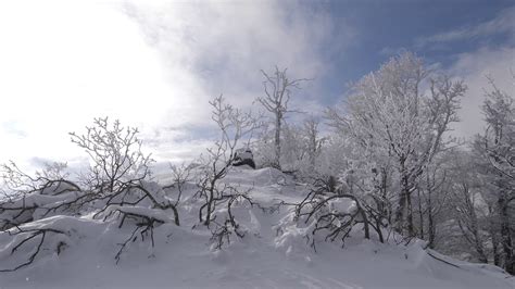 the winter of winds - SionyJanosch