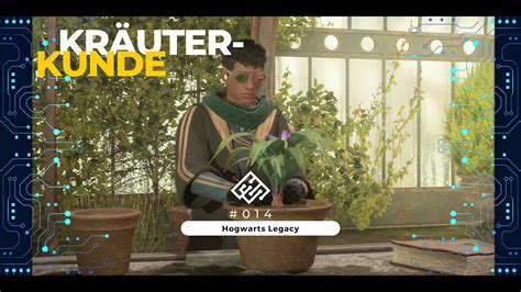 Hogwarts Legacy Kr Uterkunde Youtube