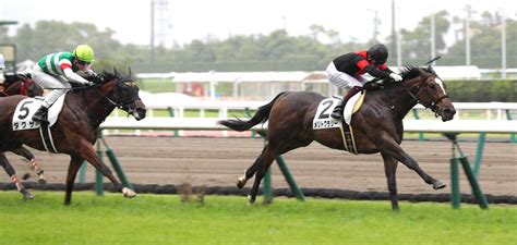 【中京5r・2歳新馬】新種牡馬シルバーステート産駒メリトクラシーがデビュー勝ち Umatoku 馬トク