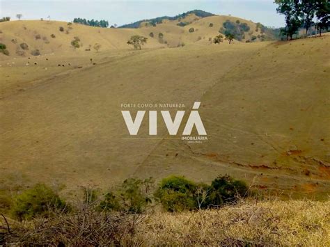 S Tio Fazenda Venda Em Cambui Mg Alqueire Rico Em Agua