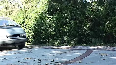 American Pussy Lickers XHamster