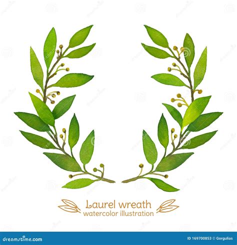 Laurel Bay Wreath Watercolor Illustration Stock Illustration