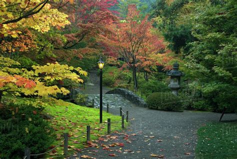 Japanese Garden path and the Washington Park Arboretum, Seattle ...