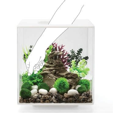 biOrb® Aquariums – biOrb-uk