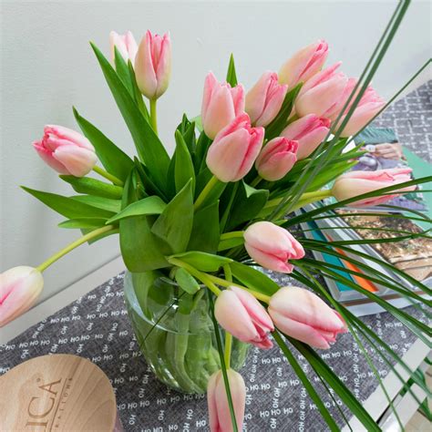 Cinco De Las Flores Más Bonitas Del Mundo