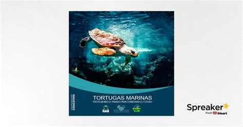 Nuestro OxÍgeno Tortugas Marinas Protegiendo El Pasado Para Conservar