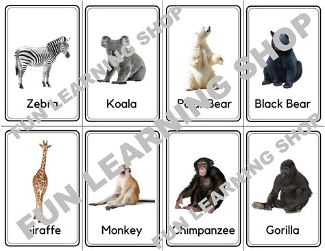 32 Wild Animals Flashcards Image Cards For Kids Nomenclature Cards