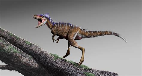 Moros | Paleo Media Wiki | Fandom