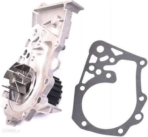 POMPA WODY RENAULT KANGOO 98 210101302R - Opinie i ceny na Ceneo.pl