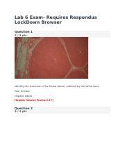 Lab Exam Docx Lab Exam Requires Respondus Lockdown Browser