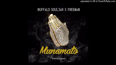 Buffalo Souljah Freeman Munamato Feb Official Video Youtube