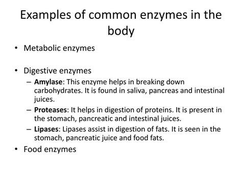 PPT - Metabolic Reactions and Enzymes PowerPoint Presentation, free ...