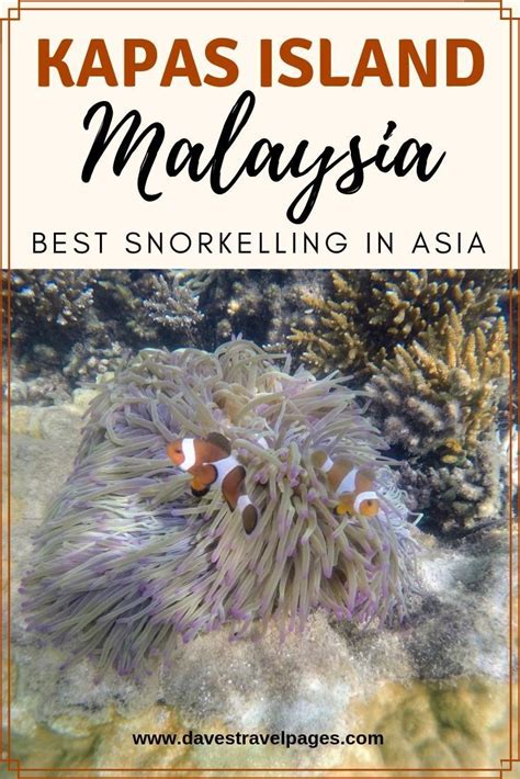 Kapas Island Malaysia Best Island For Snorkelling In Malaysia Artofit