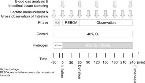 hydrogen gas inhalation therapy   work sufficiently  mitigate