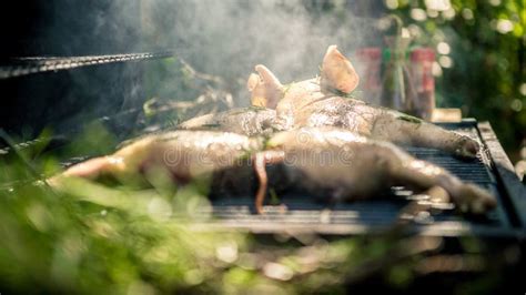 Crispy Roasted Piglet Which Are Being Grilled On Barbecue Delicious