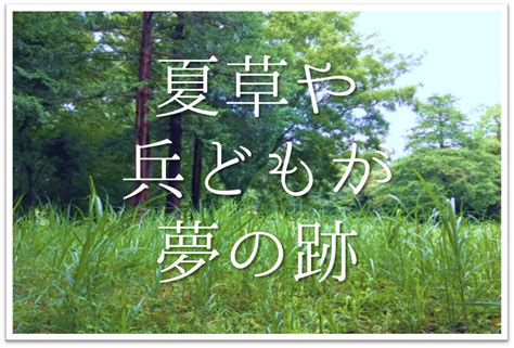 中学生向け俳句集 30選夏休みの宿題に最適 夏の季語を含んだオススメ俳句作品集を紹介 俳句の教科書俳句の作り方有名俳句の解説サイト