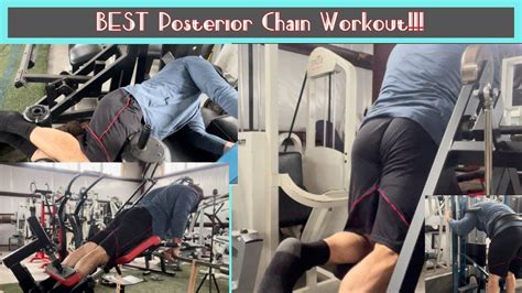 The Best Posterior Chain Workout Youtube