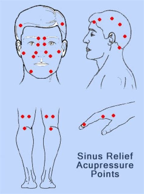 Acupressure Points for Sinus Relief Reflexology Points, Reflexology ...