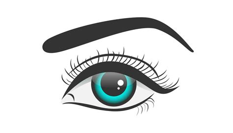 Beautiful Blue Color Female Eye Isolated Vector Illustration 20640772