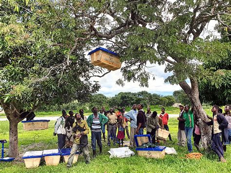 Honey From Zambia Pepper