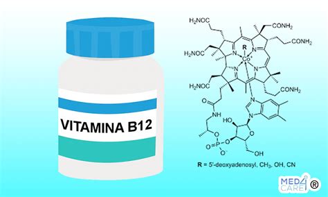 Le Vitamine Quali Sono E A Cosa Servono Med Care