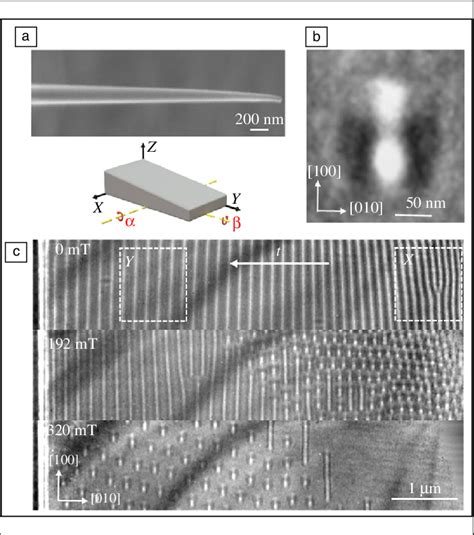 Lorentz Transmission Electron Microscope LTEM Images Of Chiral Spin