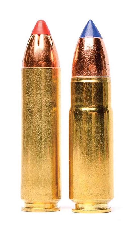 .458 SOCOM vs .450 Bushmaster – 2022 Comparison - GunMann