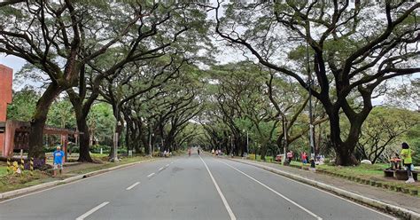 Up Diliman Is Closing The Academic Oval For 2 Weeks Pinoy Fitness