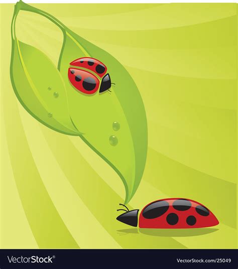 Lady Bugs Royalty Free Vector Image Vectorstock