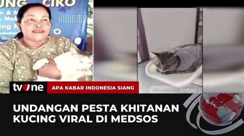 Kebiri Kucing Pasutri Di Banyuwangi Gelar Selamatan Hingga Hadirkan