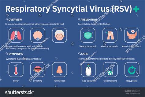 Infographic Illustration Of Respiratory Royalty Free Stock Vector