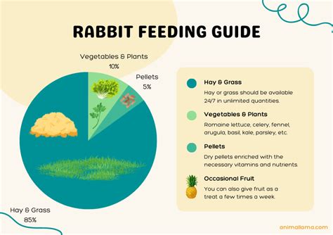 Rabbit Feeding Guide What How Much To Feed Your Bunnies