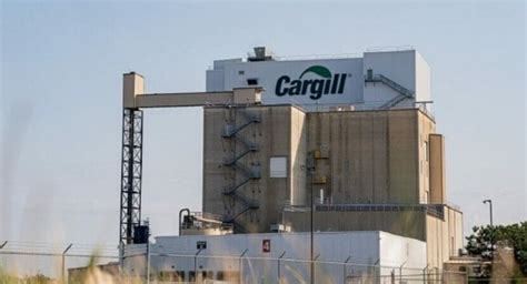 Cargill Abre Processo Seletivo 159 Vagas De Emprego Em Quase Todo O