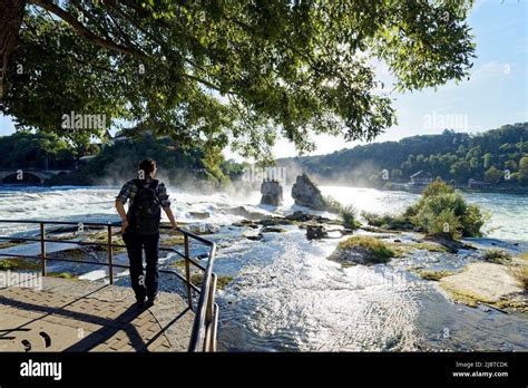 Switzerland Schaffhausen Kanton Neuhausen Rhine Falls Rheinfall