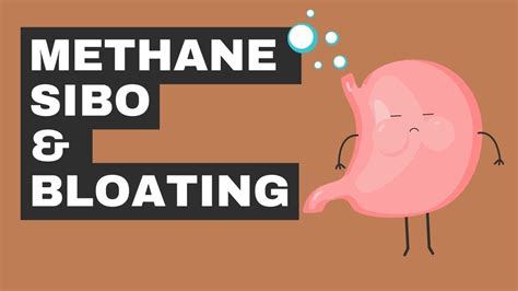 Methane Sibo Two Tips To Beat The Bloat Youtube