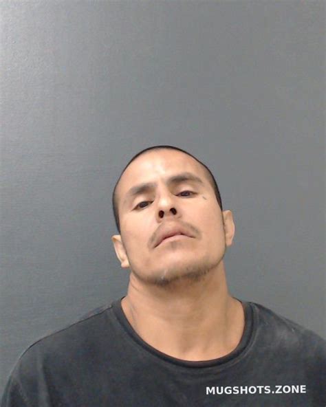 Mejia Gregorio Iii Comal County Mugshots Zone