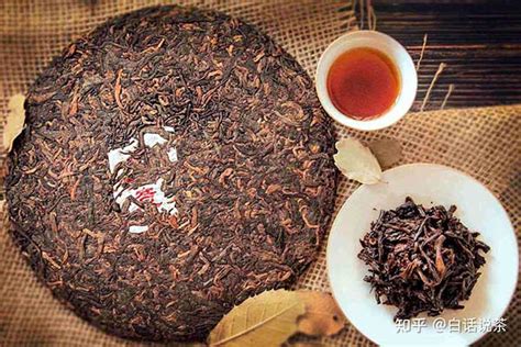 Blog Pu Erh Tea Introduction Types History Choosing Criteria