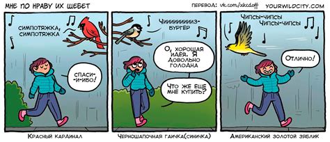 Птичий язык | Пикабу