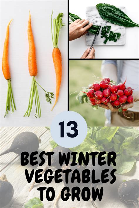 These Are The 13 Best And Easiest Vegetables To Grow In Your Winter