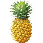 Pineapple Clip Art Clipartwiz Clipartix