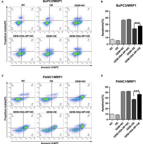 Gem Hsa Np Mediated Apoptosis Of Mrp1 Overexpressing Bxpc3 And Panc1 Download Scientific