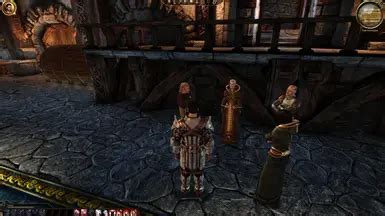 Epilogue Wynne Orsino Robe The Circle Reforged At Dragon Age Origins