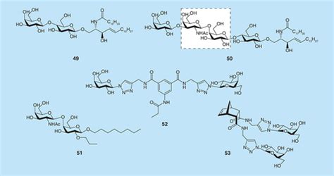 Full Article Targeting Adhesion In Fungal Pathogen Candida Albicans