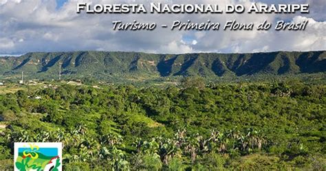 Floresta Nacional Do Araripe Primeira Flona Do Brasil Turismo