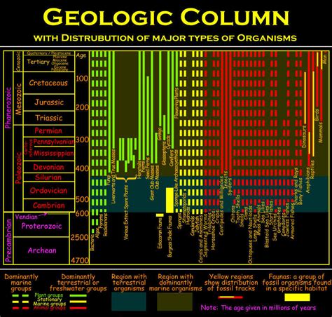 The Geologic Column