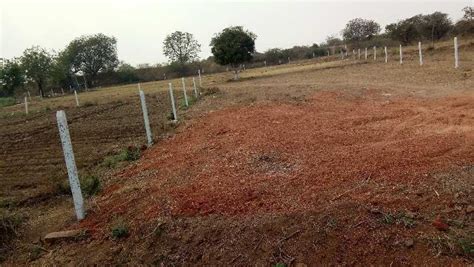 Agricultural Land Acre For Sale In Shabad Rangareddy Rei