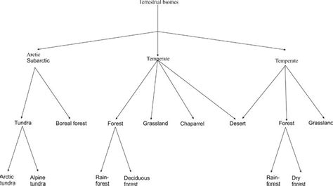 Terrestrial Biomes Summary Chart Ponasa