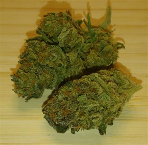 California Orange Aka Cali Orange Cali O Cali Orange Bud Cob